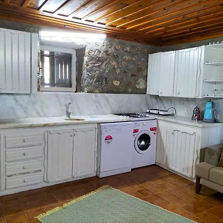 Ekincik'te Tas Ev