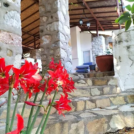 Ekincik'te Tas Ev Hotel 4*
